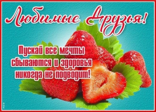 WP5JGqYXfog