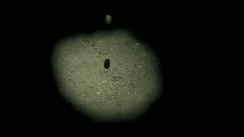 _AРИЯ_-_OСКОЛОК_ЛЬДА_