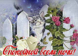 IMG-432c8046a2dd21f0f91bb7da3cffb1f4-V