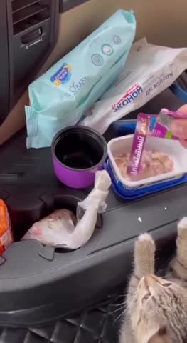 _До_Дома_8000_км_