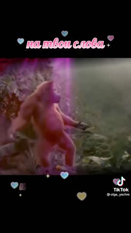 Foiz_PRO_238d3744a149d7351688b20474129d5e