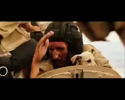 sektor-gaza-tuman_videomega_