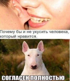 FB_IMG_1505926358938