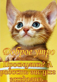 VCNnWozg0BU