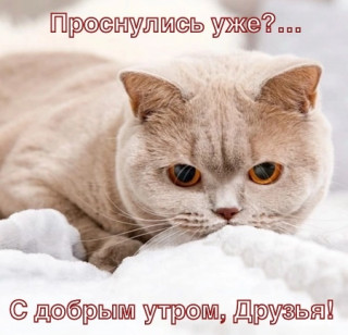 jFWYLO3Dzvc