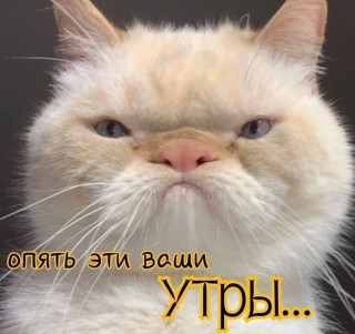 3sxTLW_xMZA