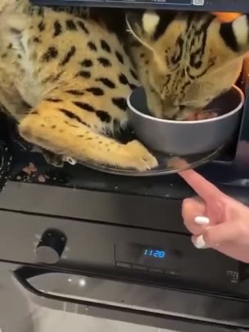 Уже_поздно_