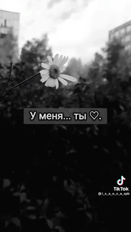 623c05ce3e198381b9723ffab4099062