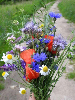 FB_IMG_16681126196144187