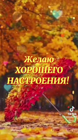 e49c3683ba95b46689153876f5cc047f