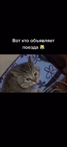 -Вокзал-Объявление-