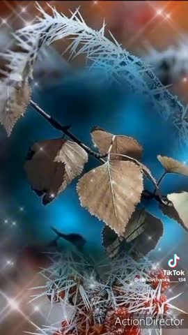 33eb6f5b8a269e9a6a1c7e382c5fbaf5