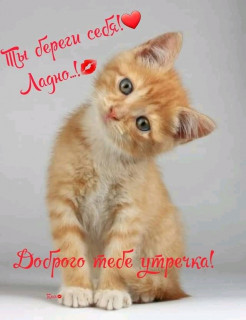 FB_IMG_16685883230053385