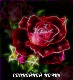 IMG-121509a3e487f9dda56054c70e517b83-V