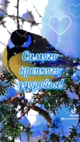 0c6ad7e8763893d5d87317d4ca6d2e33