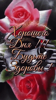 GIF-bc17a6f1c1822c396bab03ef3fdd2e07