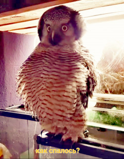 IMG-8c7f35324e8922d88dd35b6925684ff2-V