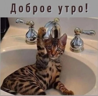 ZUYQlQFZJSY