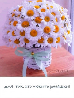 FB_IMG_16688530173806977