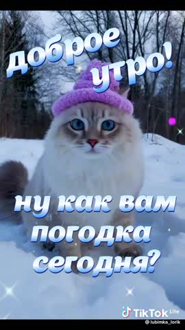 bc558cdd1a34a0e2b3ff449667cbe157