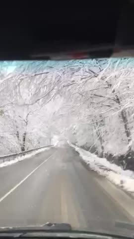 video-6564dbfa1e6ed000e651befcdb01f0cb-V