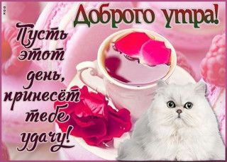 burNOmV8QfU
