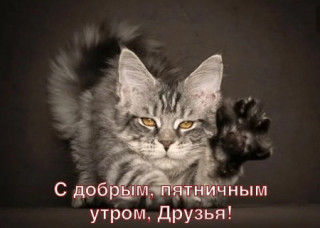 85Ni9G3h09o