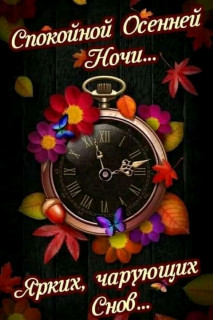 FB_IMG_16691481770237484