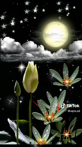 7745b1592612b18296f1088773dcfe5a