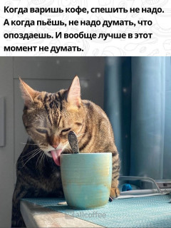 KoupWSrJDLE