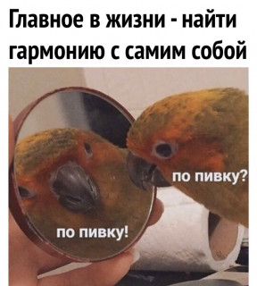 coTx0XYADm0