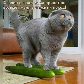 xpngBmR7GmQ