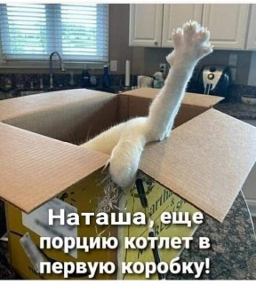 DOgPpe0rgK4