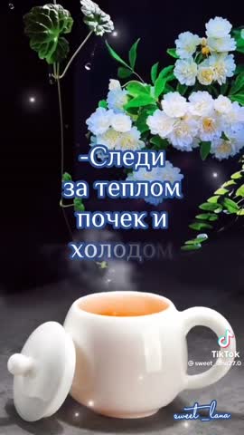 Древнекатайская мудрость