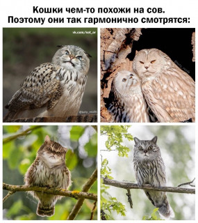 pzH2RZPksmA