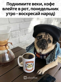 _wh6IciJanQ