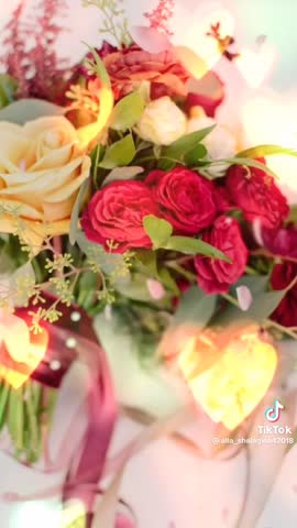 video-8fd8dfafedb2d35fb0233af056842af5-V