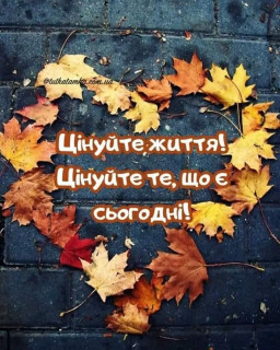 IMG-52689a13e55ea6079523d9e3c9405a48-V