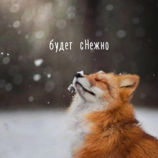 L0S7iX3lLAk