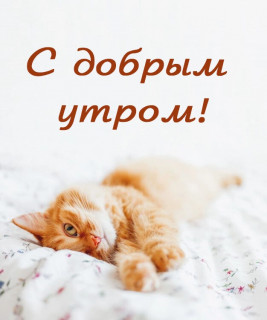 XrcZfuqgikM