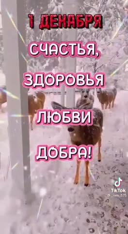 -01-Декабря-2022-Начало-Зимы-