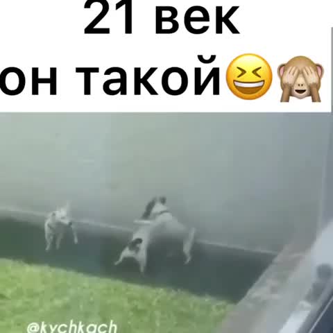21век