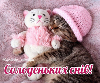 IMG-da9d2694b4e8d9c3a135f4388d148712-