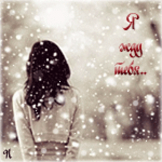 image_11311142139411151151