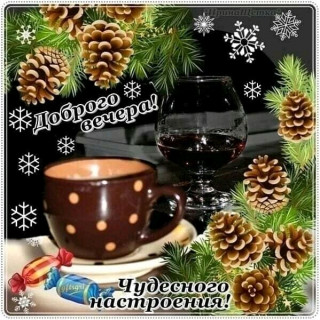 FB_IMG_16702555790411128