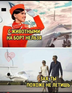 1670460706456