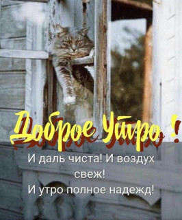 9IuPjAwnqCA