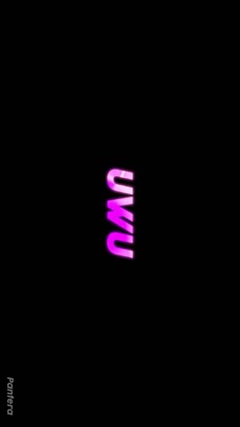 video_20221210_065118