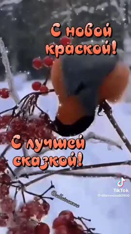 596a4190ed0ee8851d1d6cda68a78de0