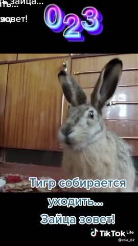 VID-20221213-WA0001